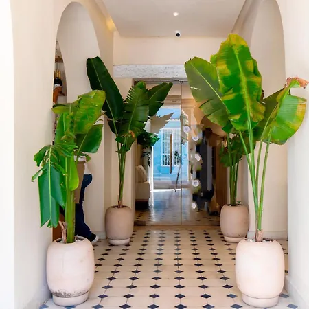 B Haus Hotel